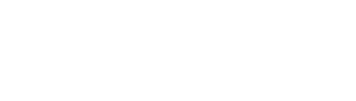 Unspoken Language Services